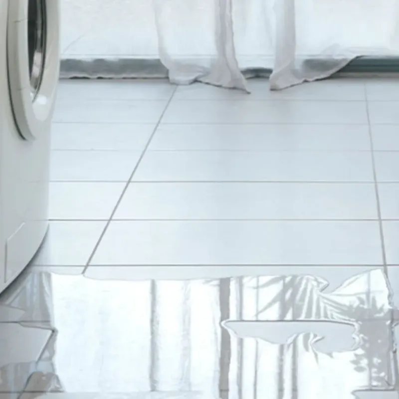 Appliance Leak Cleanup in Hidden Spring, ID