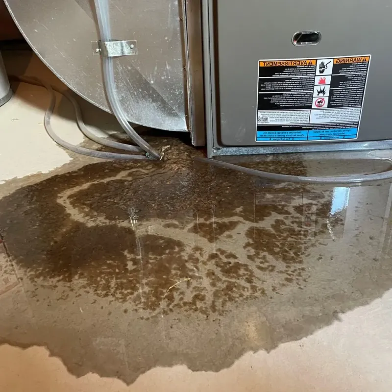 Pipe Burst and Leak Restoration in Hidden Spring, ID